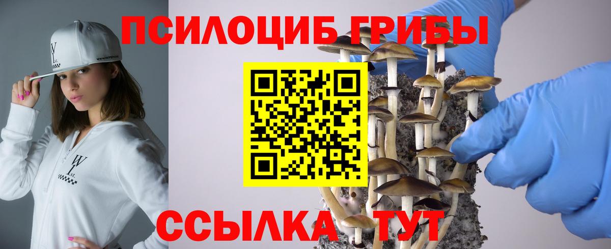 Чернушка  Галлюциногенные грибы Psilocybe  Галлюциногенные грибы прущие грибы  Вход с VPN 